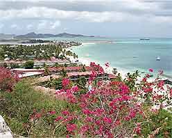 Rex Halcyon Cove Antigua 01