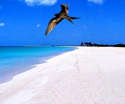 barbuda island
